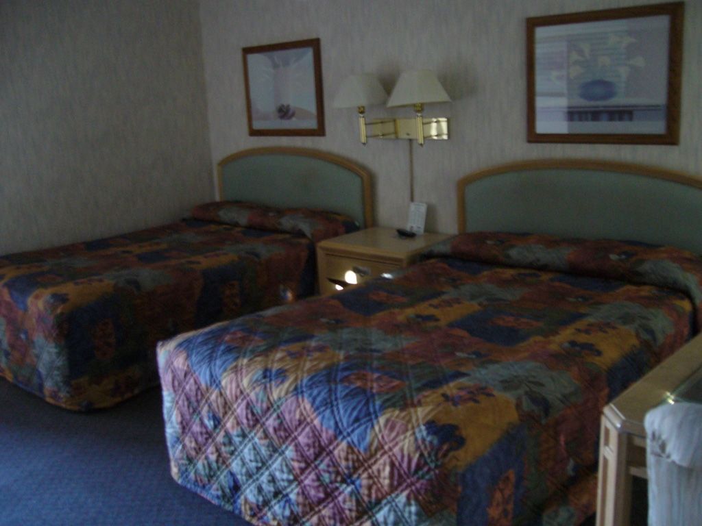 Royal Motor Inn 优马 客房 照片